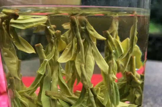 什么綠茶最香最好喝，綠茶口感與香氣排名