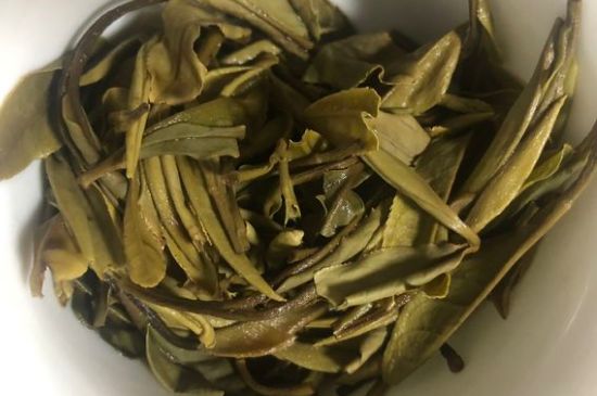 三年白茶賽砒霜，這是真的嗎？