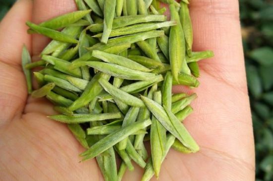 什么綠茶味道濃香，那個(gè)綠茶比較濃香？