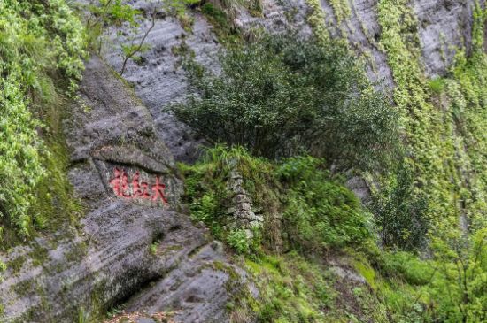 大紅袍為什么沒保質(zhì)期，武夷巖茶大紅袍能放幾年？