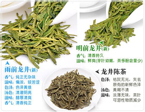 西湖龍井新茶和陳茶的區(qū)別，怎么區(qū)分龍井新茶和舊茶？