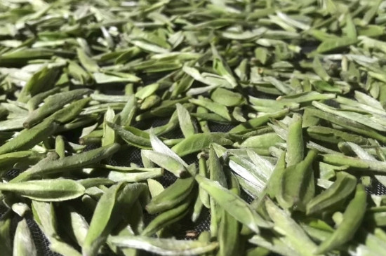 白毫銀針年份久的有什么香，陳年白毫銀針的香氣