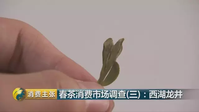 龍井群體種和43號的區(qū)別圖片，龍井43和群體種哪個好喝？