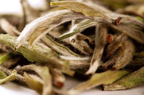 荒野銀針有什么特點(diǎn)，荒野銀針的味道口感咋樣？