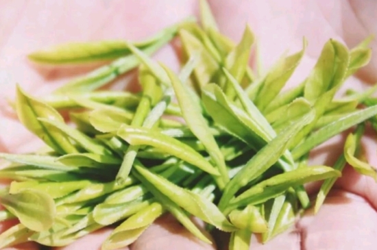 龍井是明前的好還是雨前的好，明前茶和雨前茶哪個(gè)好喝？