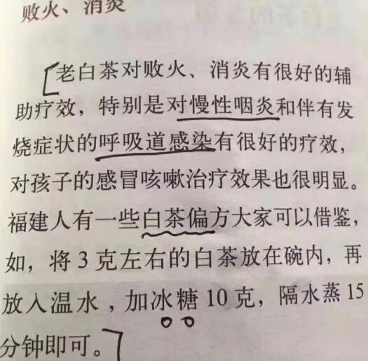 老白茶上火還是去火？夏季喝煮的老白茶會容易上火！