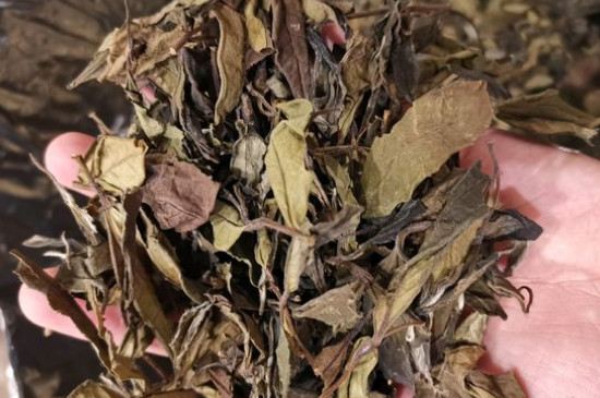 新舊白茶怎么區(qū)分，怎么分辨白茶是新還是舊
