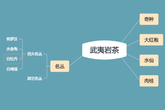 武夷巖茶品種大全，巖茶有幾種？