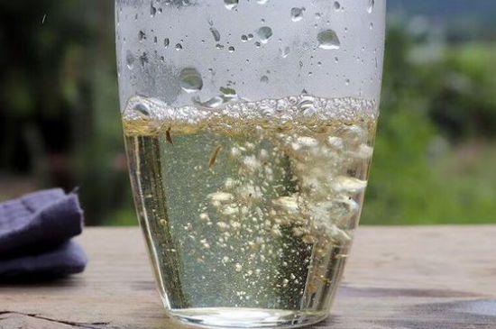 三年白茶賽砒霜，這是真的嗎？