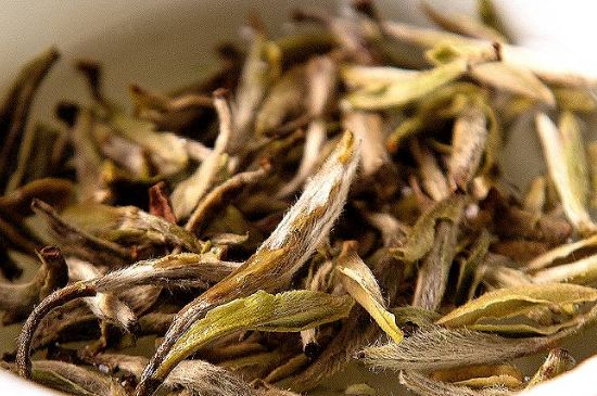 荒野銀針市場(chǎng)價(jià)多少，真正的荒野白毫銀針多少錢？