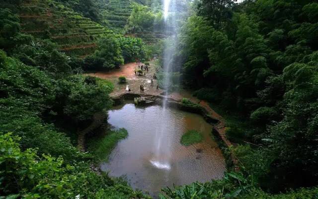 武夷山為什么盛產(chǎn)茶葉，武夷山茶為什么好喝？