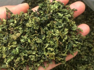 鐵觀音毛茶茶梗可以泡水喝嗎，鐵觀音帶梗是不是好茶？