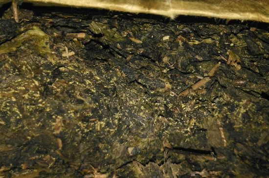 黑茶茯茶保存五大忌，茯茶收藏的注意事項(xiàng)