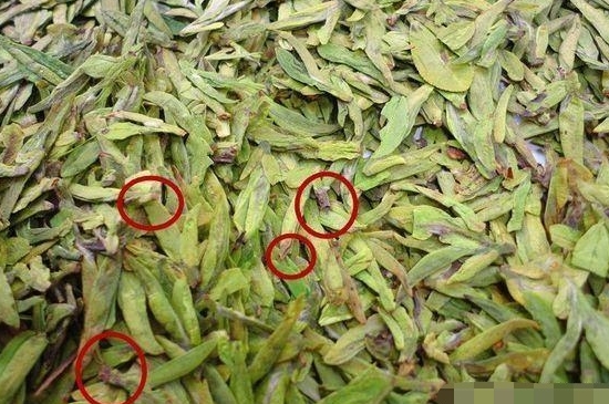 烏牛早和龍井的區(qū)別圖片，龍井43號(hào)和烏牛早茶的對(duì)比