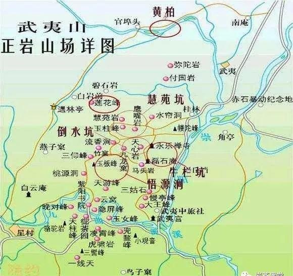 300塊錢的金駿眉能喝嗎，兩三百多金駿眉和一千多區(qū)別