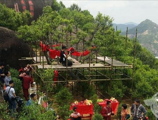 宋種一號價值為什么高，鳳凰單樅宋種1號價格與產(chǎn)量多少？