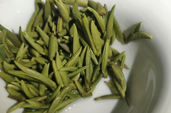 竹葉青茶怎么泡，竹葉青如何沖泡