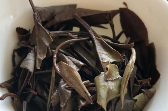 老白茶上火還是去火？夏季喝煮的老白茶會容易上火！