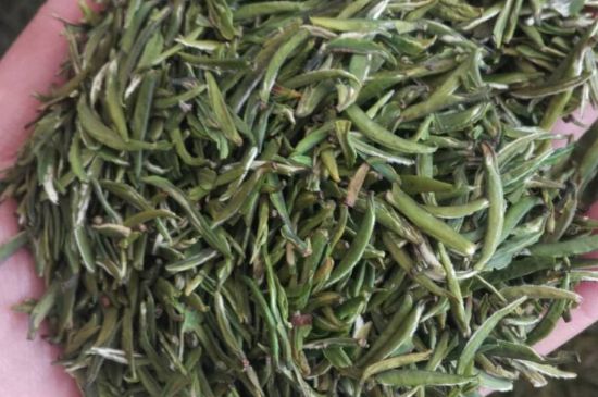 金壇雀舌算不算好茶，金壇雀舌屬于什么檔次茶葉？