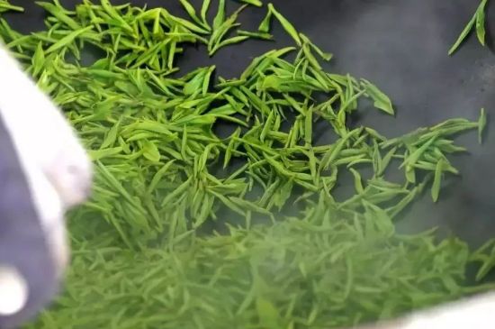 碧螺春為什么泡水渾濁，碧螺春茶葉泡水感覺很臟是混濁的