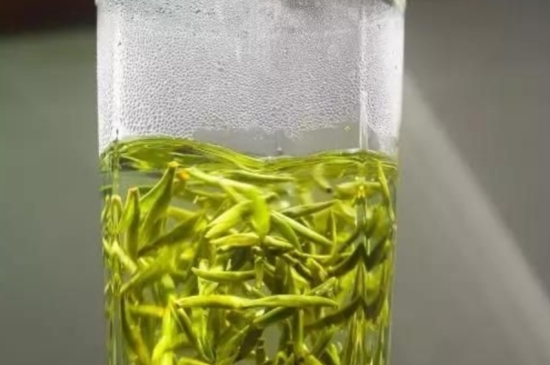 西湖龍井茶毫和發(fā)霉區(qū)別圖片，長(zhǎng)霉的龍井茶葉會(huì)是什么樣？