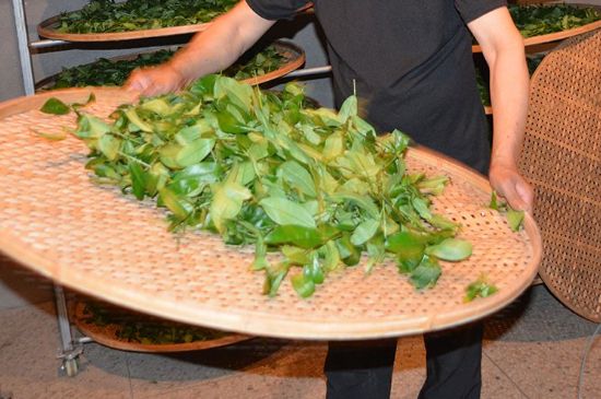 鐵觀音加香精騙局，鐵觀音的香味是添加香精了嗎？