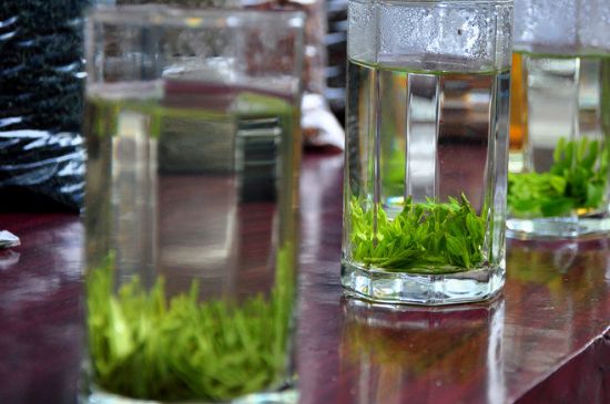 綠茶放了三年還能喝嗎，綠茶放久了喝了會(huì)怎樣