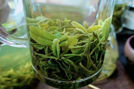 什么綠茶味道濃香，那個(gè)綠茶比較濃香？
