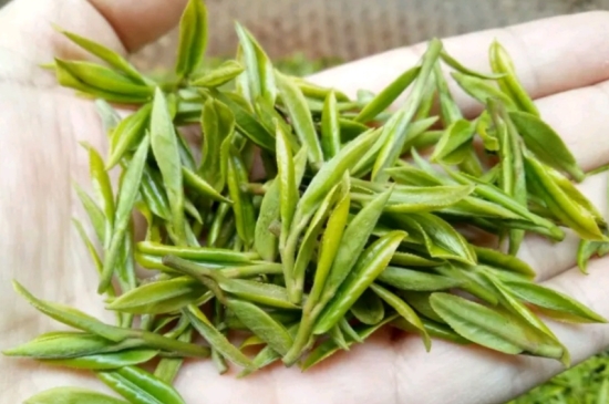 什么是雪前龍井茶，明前、雨前、雨后龍井有什么區(qū)別？