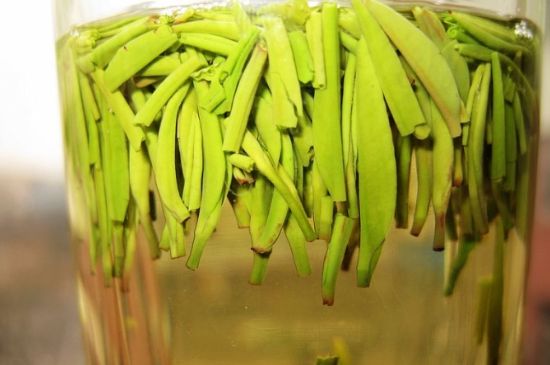 雀舌為何喝著是苦的，雀舌味道怎么那么苦澀？