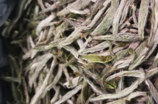 白毫銀針年份越久越好嗎，銀針白毫是否越陳越好