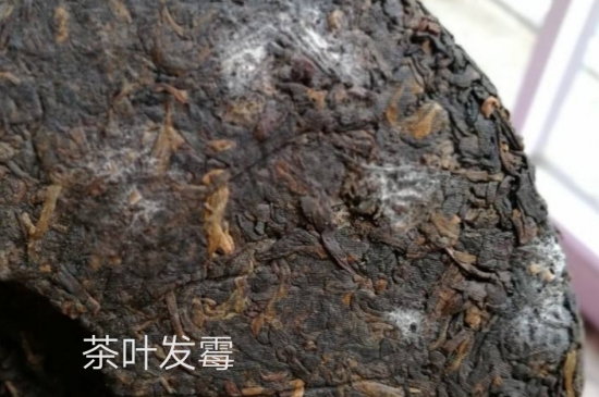 西湖龍井茶毫和發(fā)霉區(qū)別圖片，長(zhǎng)霉的龍井茶葉會(huì)是什么樣？