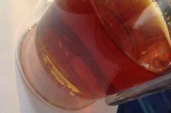 金駿眉有幾個品種分哪幾個級別？按茶樹劃分5個等級！